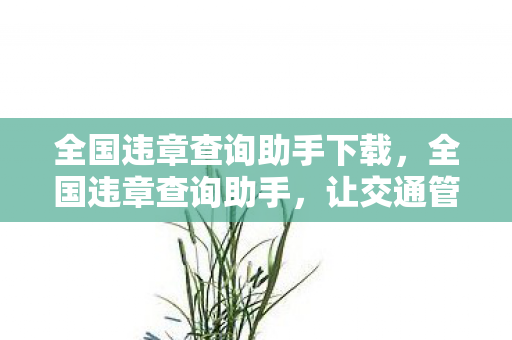 全国违章查询助手下载图片