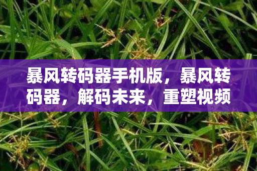 暴风转码器手机版图片