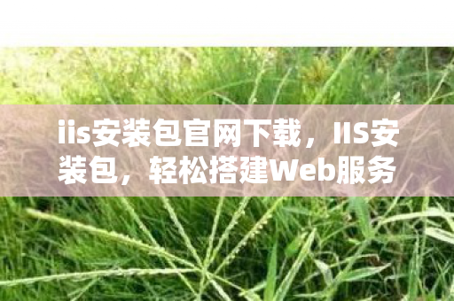 轻松搭建Web服务器的利器图片