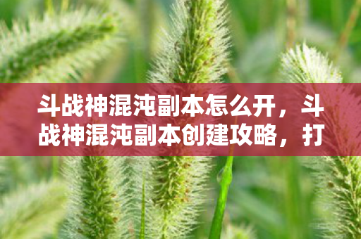 斗战神混沌副本创建攻略图片