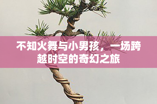 一场跨越时空的奇幻之旅图片