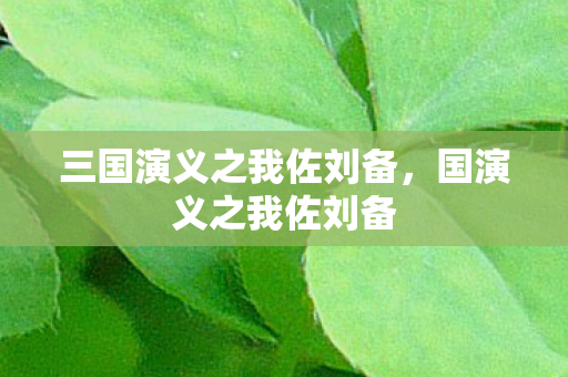 三国演义之我佐刘备图片