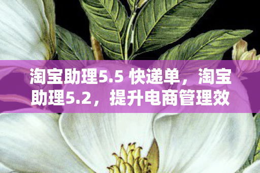 提升电商管理效率的神器图片