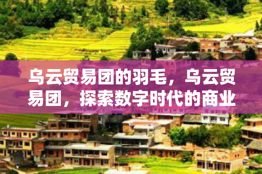 探索数字时代的商业新生态图片