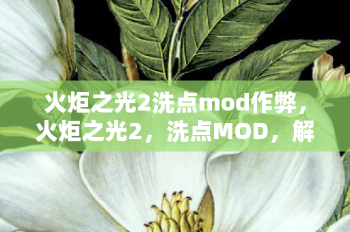 火炬之光2洗点mod作弊图片