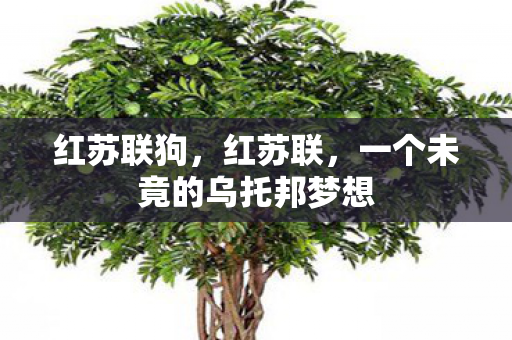 一个未竟的乌托邦梦想图片