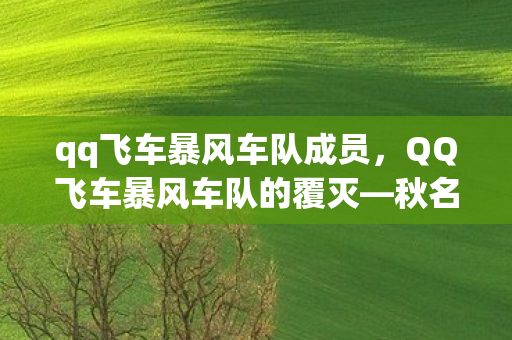 qq飞车暴风车队成员，QQ飞车暴风车队的覆灭—秋名山的传奇故事