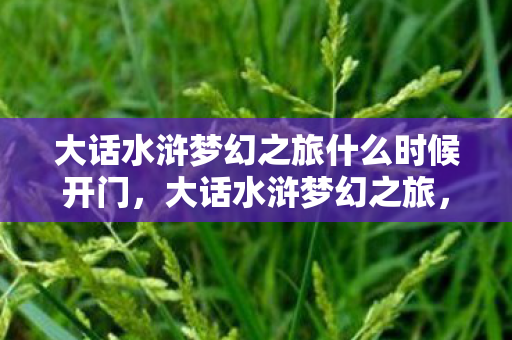 大话水浒梦幻之旅什么时候开门图片