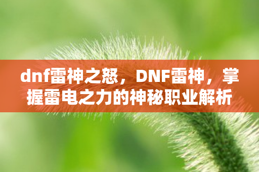 掌握雷电之力的神秘职业解析图片