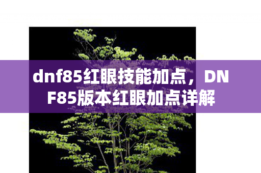 DNF85版本红眼加点详解图片
