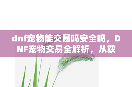 dnf宠物能交易吗安全吗图片