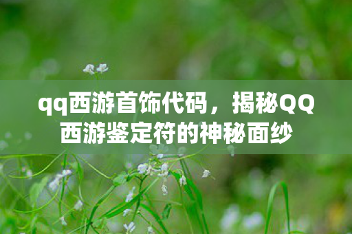 qq西游首饰代码，揭秘QQ西游鉴定符的神秘面纱