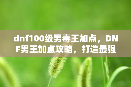 dnf100级男毒王加点图片