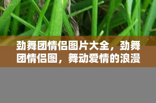 劲舞团情侣图片大全图片