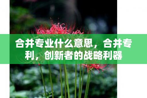 合并专业什么意思图片
