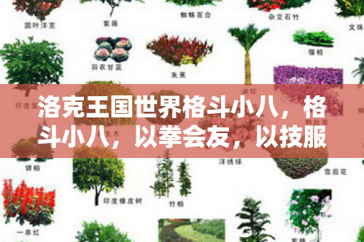 洛克王国世界格斗小八图片