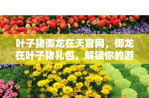 叶子猪御龙在天官网图片