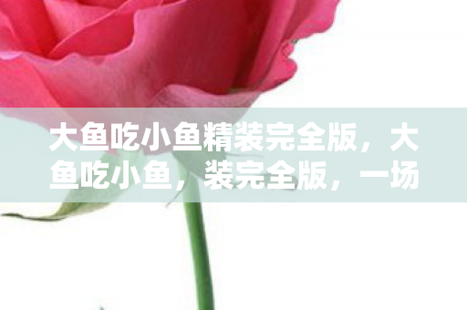 大鱼吃小鱼精装完全版图片