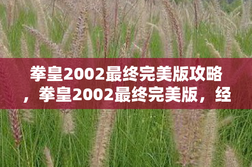 拳皇2002最终完美版攻略图片