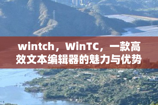 一款高效文本编辑器的魅力与优势图片