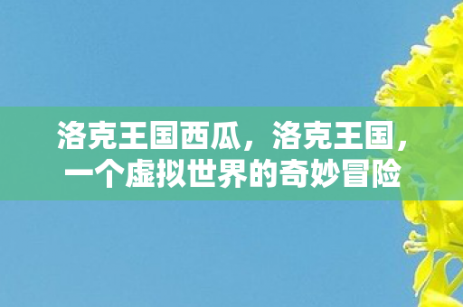 一个虚拟世界的奇妙冒险图片