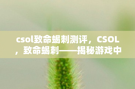 csol致命蝎刺测评图片