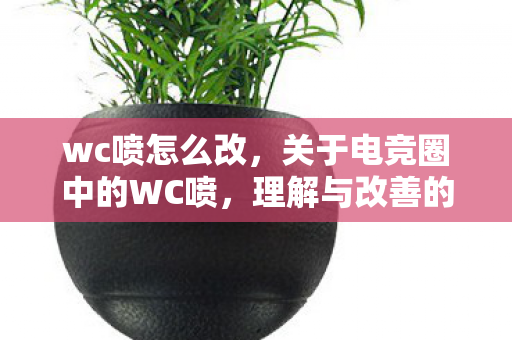 wc喷怎么改，关于电竞圈中的WC喷，理解与改善的建议