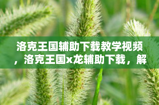 洛克王国辅助下载教学视频图片