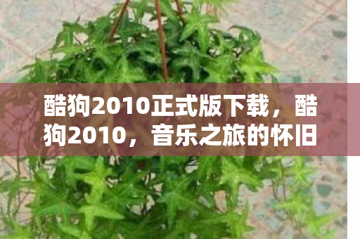 酷狗2010正式版下载图片