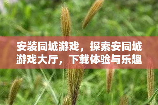 探索安同城游戏大厅图片