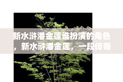 新水浒潘金莲谁扮演的角色图片