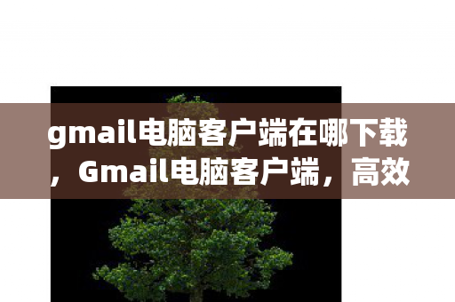gmail电脑客户端在哪下载图片