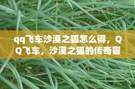 qq飞车沙漠之狐怎么得，QQ飞车，沙漠之狐的传奇冒险