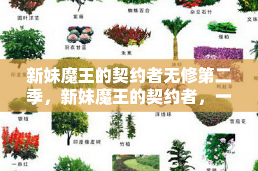 新妹魔王的契约者无修第二季图片