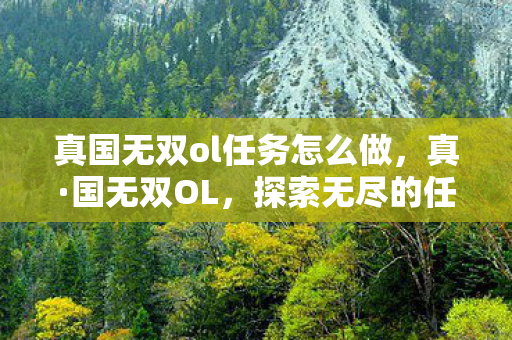 真国无双ol任务怎么做图片