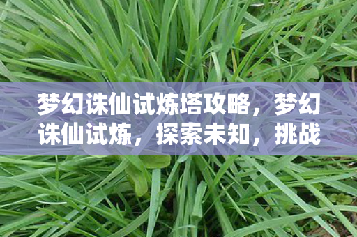 梦幻诛仙试炼塔攻略图片