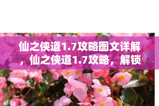 解锁隐藏关卡与角色图片