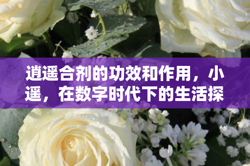 在数字时代下的生活探索与成长图片