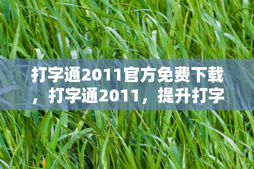 提升打字效率与准确度的必备工具图片