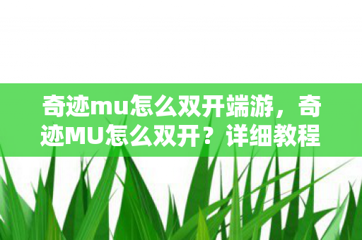 详细教程助你轻松实现多开图片