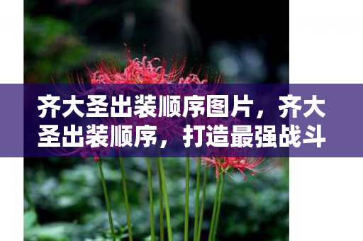 打造最强战斗力的关键图片