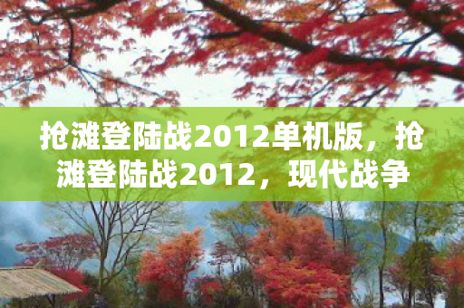 抢滩登陆战2012单机版图片
