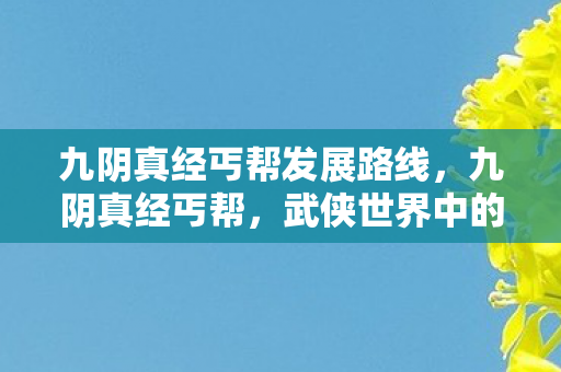 九阴真经丐帮发展路线图片