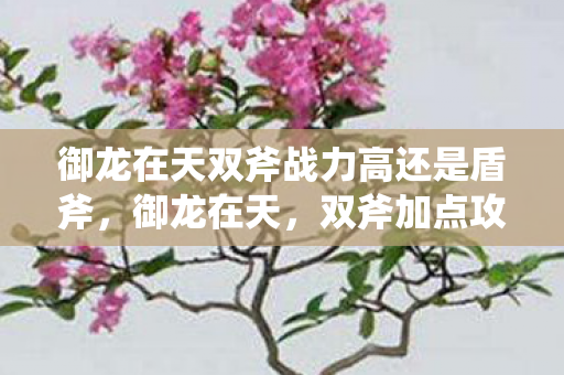 御龙在天双斧战力高还是盾斧图片