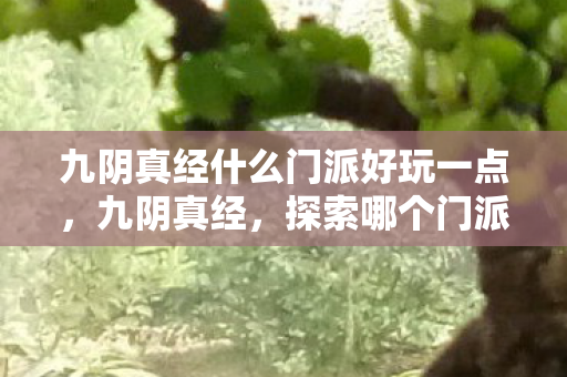 九阴真经什么门派好玩一点图片