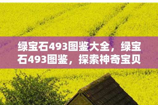 探索神奇宝贝世界的奇妙之旅图片