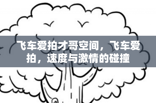 飞车爱拍才哥空间图片