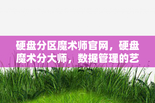 硬盘分区魔术师官网图片