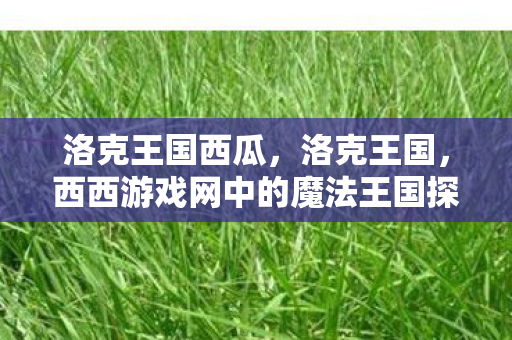 西西游戏网中的魔法王国探险图片