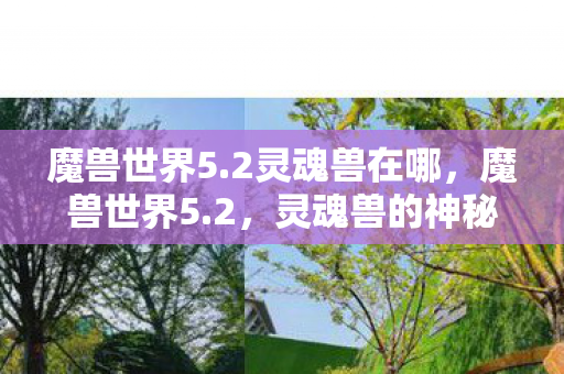 灵魂兽的神秘面纱图片